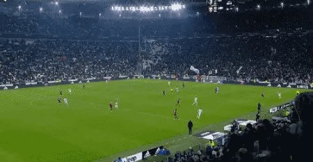 1677618598704049034.gif IMG_6212.gif