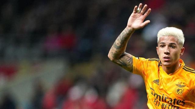 开云中国官网-恩佐转会 本菲卡得8160万 河床2720万 中介760万